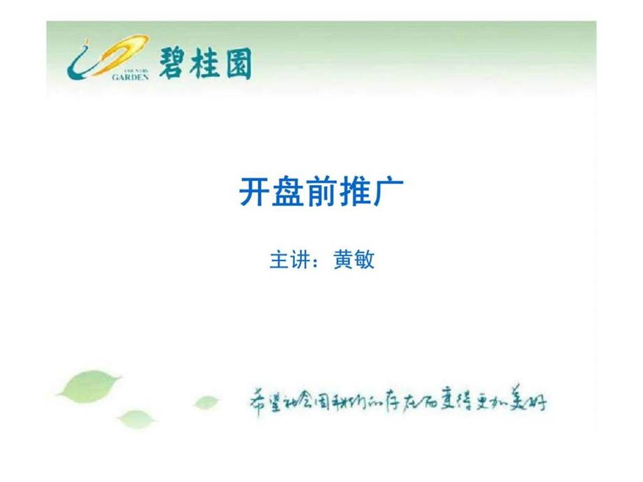 碧桂园开盘前推广.ppt_第2页