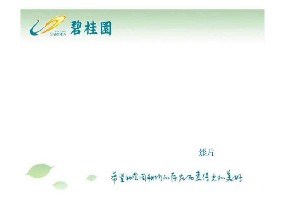 碧桂园开盘前推广.ppt_第3页