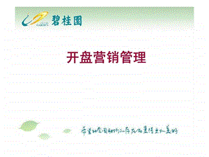 碧桂园开盘前推广.ppt