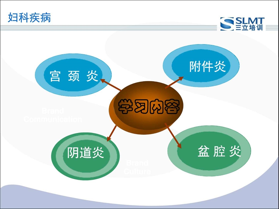 医学妇科课件优化PPT课件图文.ppt.ppt_第3页