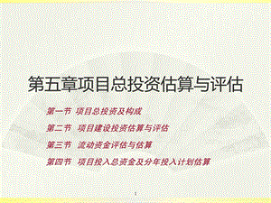 项目投资估算图文.ppt.ppt