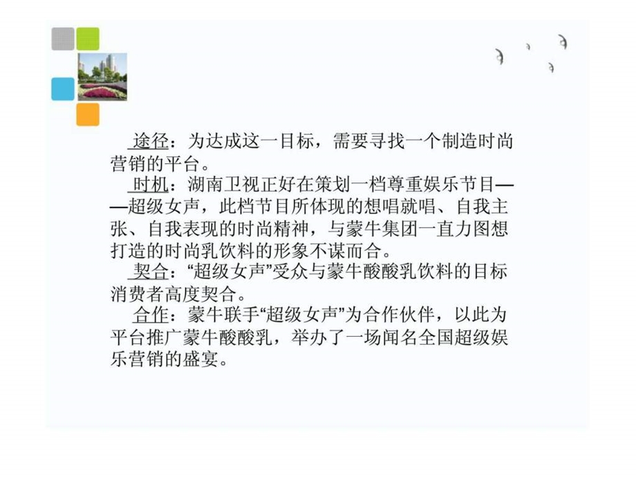 整合营销传播理论案例.ppt_第3页