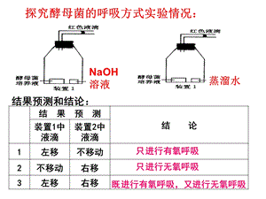 光合作用呼吸装置图.ppt