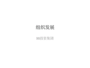 xx投资集团组织发展方案.ppt