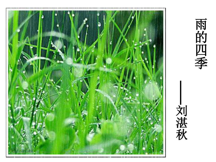 雨的四季上课用图文.ppt.ppt_第3页