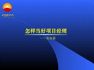 怎样当好项目经理实务篇.ppt