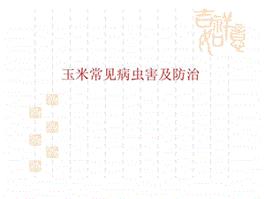 玉米病虫害及防治.ppt.ppt