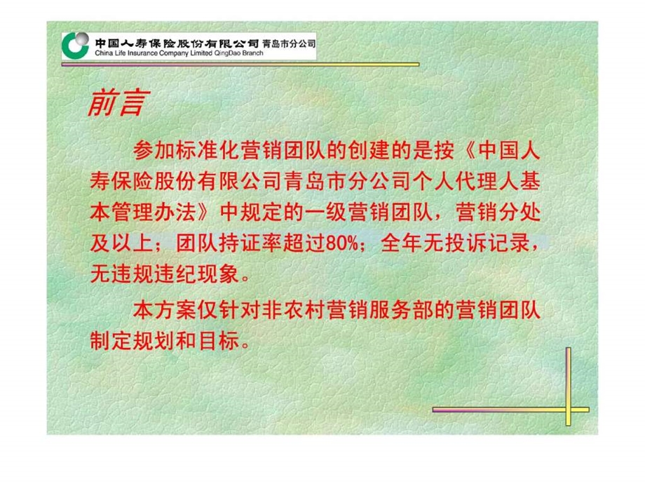 标准化营销团队两年规划.ppt_第2页