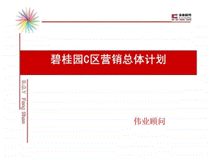 伟业北京碧桂园c区地产项目营销报告.ppt