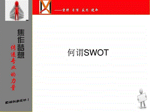 swot分析法内训.ppt