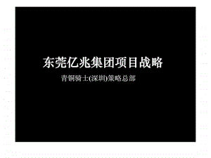 青铜骑士东莞市亿兆集团项目战略.ppt