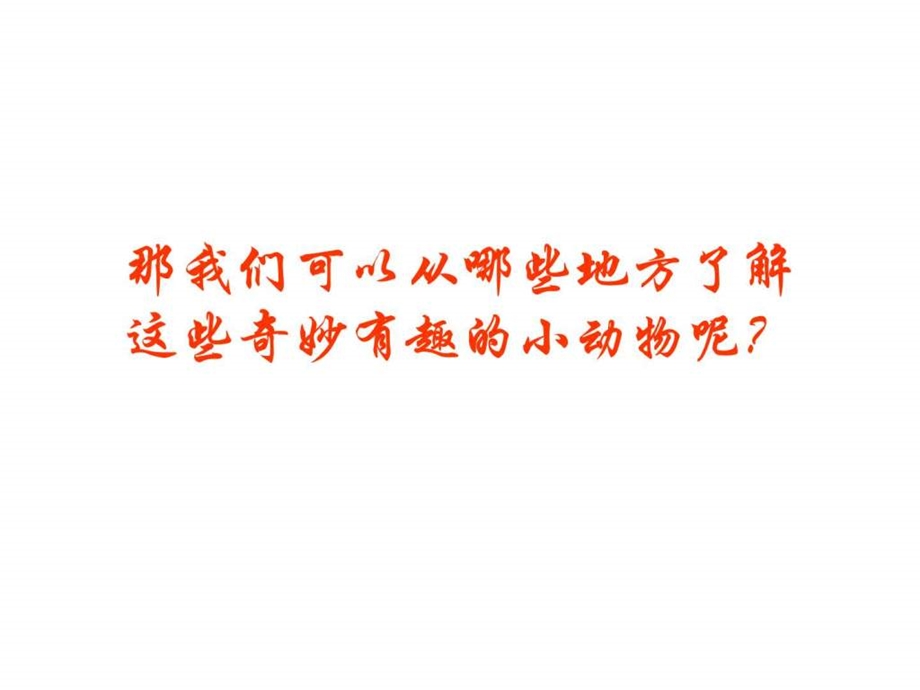 认识小动物.ppt.ppt_第3页