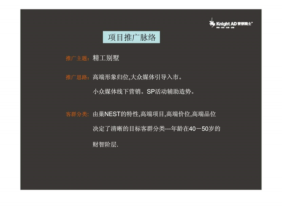 青铜骑士巢NEST广告推广计划.ppt_第3页