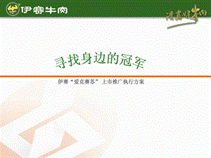 市场推广执行方案.ppt