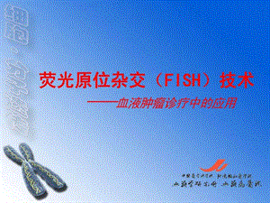 FISH技术在血液疾病诊断中的应用.ppt.ppt