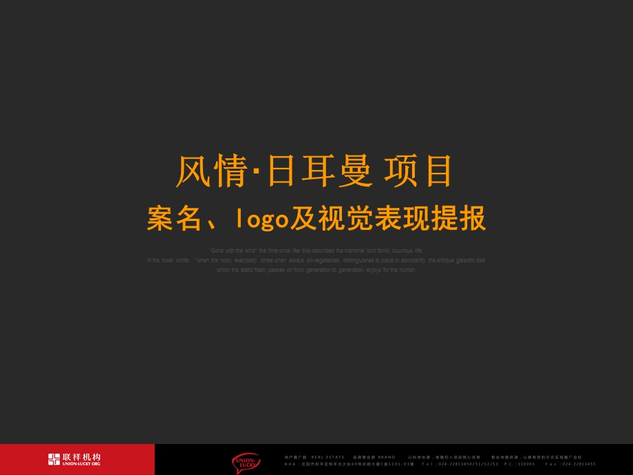 风情日耳曼项目案名logo及视觉表现提报67页.ppt_第2页