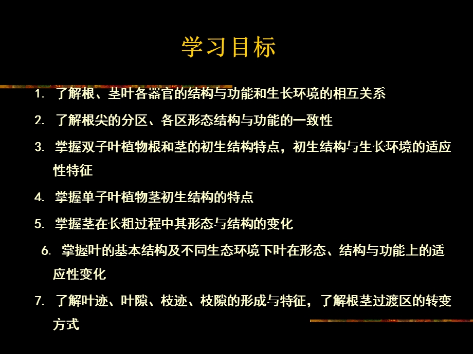 植物学教学资料第三章营养器官根.ppt_第3页