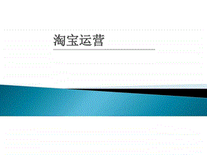 淘宝运营推广实施解决方案方案ppt图文.ppt.ppt