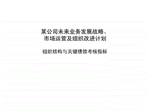 波士顿咨询某大型集团组织结构于与关键绩效考核指标问题及设计.ppt