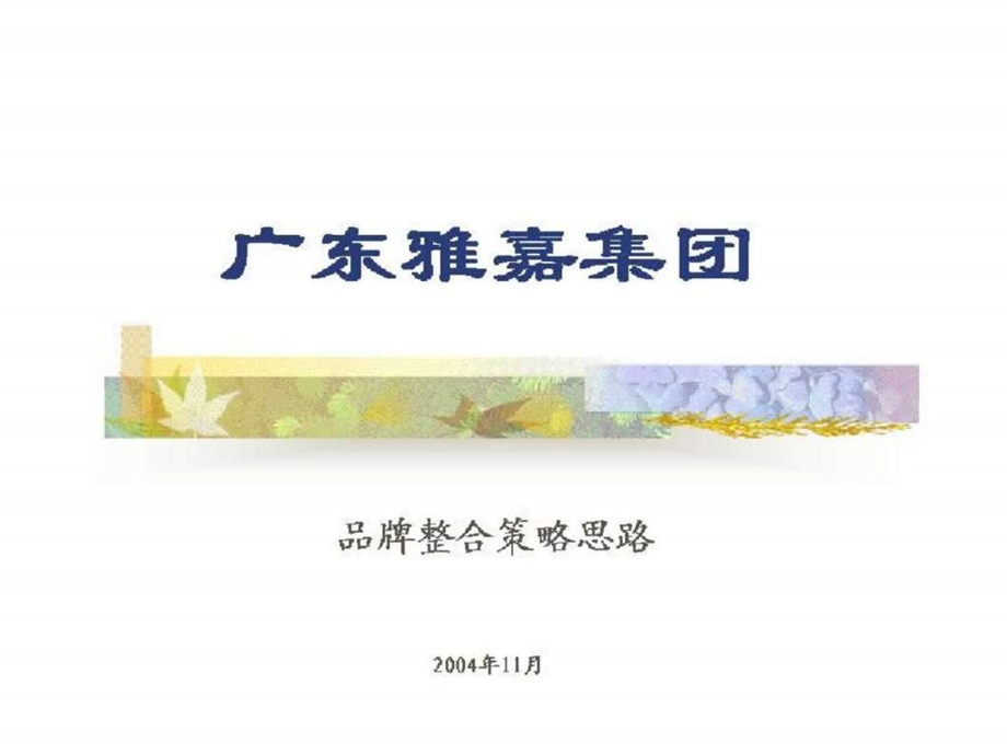 广东雅嘉集团品牌整合策略思路.ppt_第1页