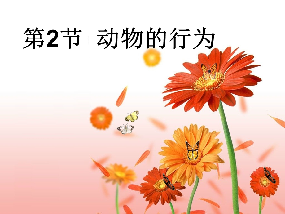 动物的行为课件1.ppt_第1页