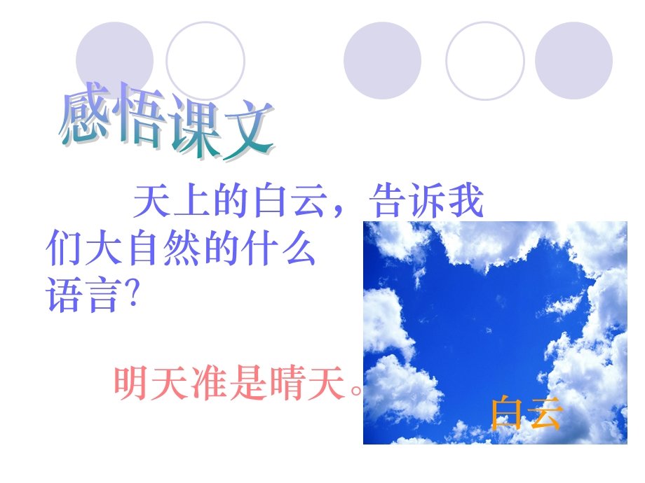 北师大版小学三下《大自然的语言》课件.ppt_第3页