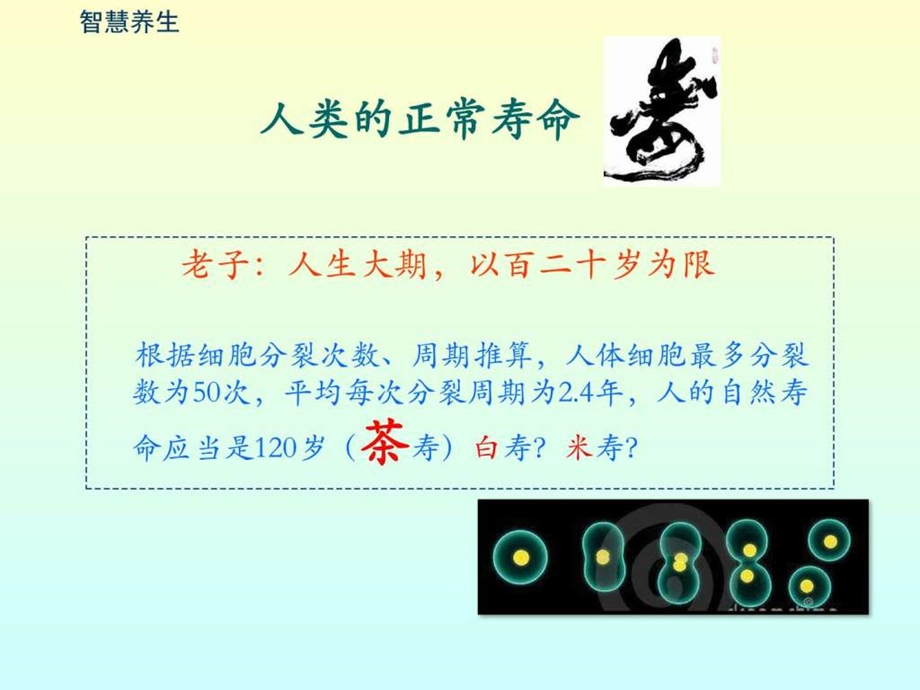 职业养生与心理健康专题讲座李智.10.29.ppt_第3页