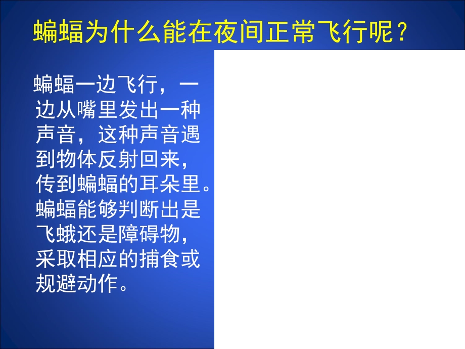 声现象在科技中的应用课件1.ppt_第3页