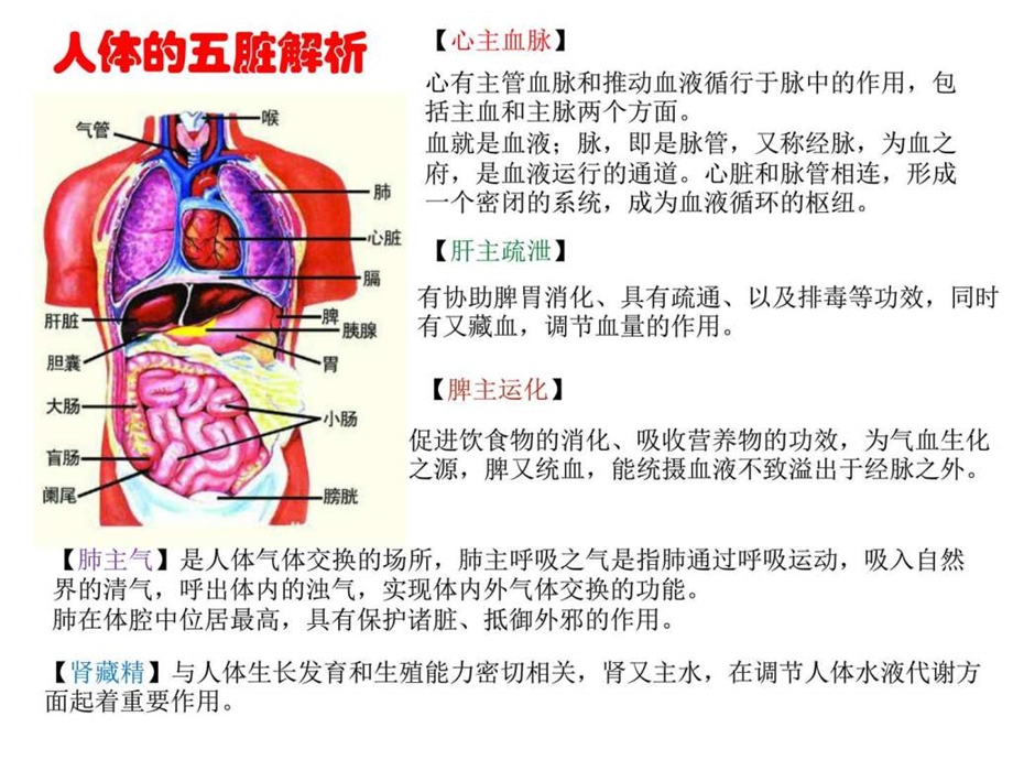 如何关爱中老年健康图文.ppt.ppt_第3页