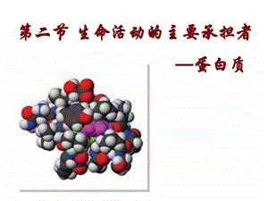 22生命活动的主要承担者蛋白质共20张PPT图文.ppt.ppt