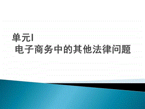 电子商务法规单元I电子商务中的其他法律问题.ppt