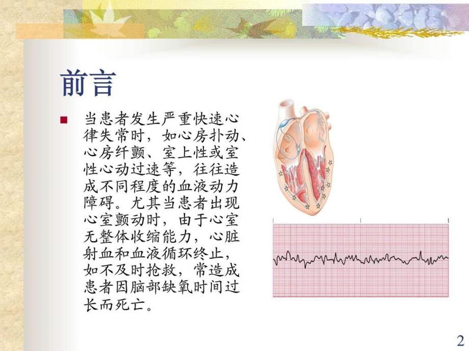 心脏电除颤图文.ppt.ppt_第2页