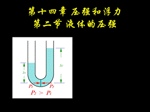 第十四章压强和浮力第二节液体的压强.ppt