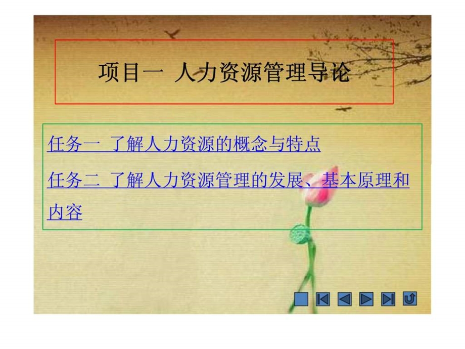 项目一人力资源管理导论.ppt_第1页