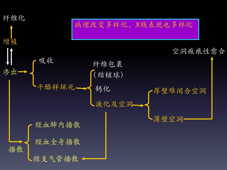 影诊讨论课04肺结核病尘肺学生版.ppt_第3页