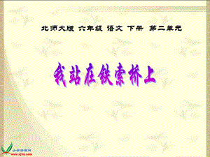 北师大版六年级下册语文我站在铁索桥上.ppt