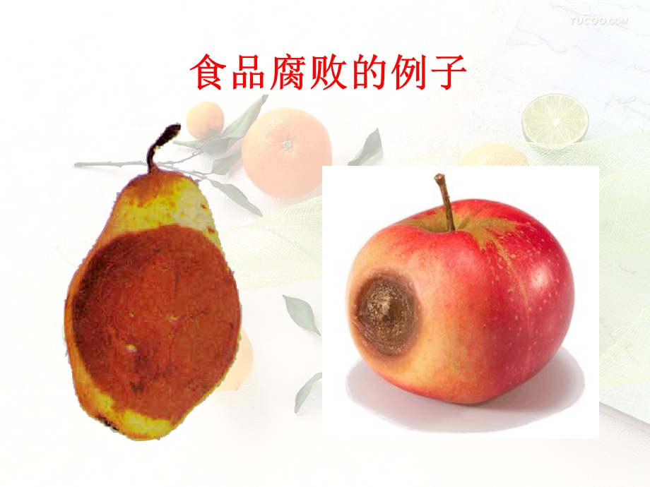 八下苏教生物·食品保存.ppt_第2页