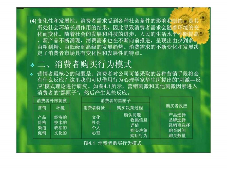 现代市场营销学第四章消费者购买行为分析.ppt_第3页