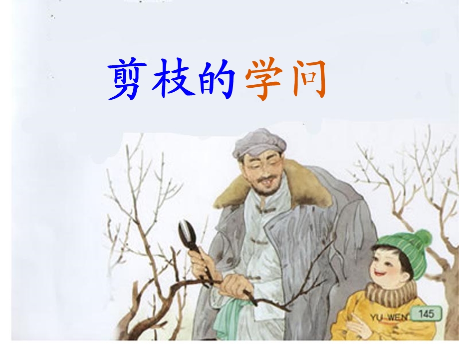 剪枝的学问第一课时.ppt_第1页