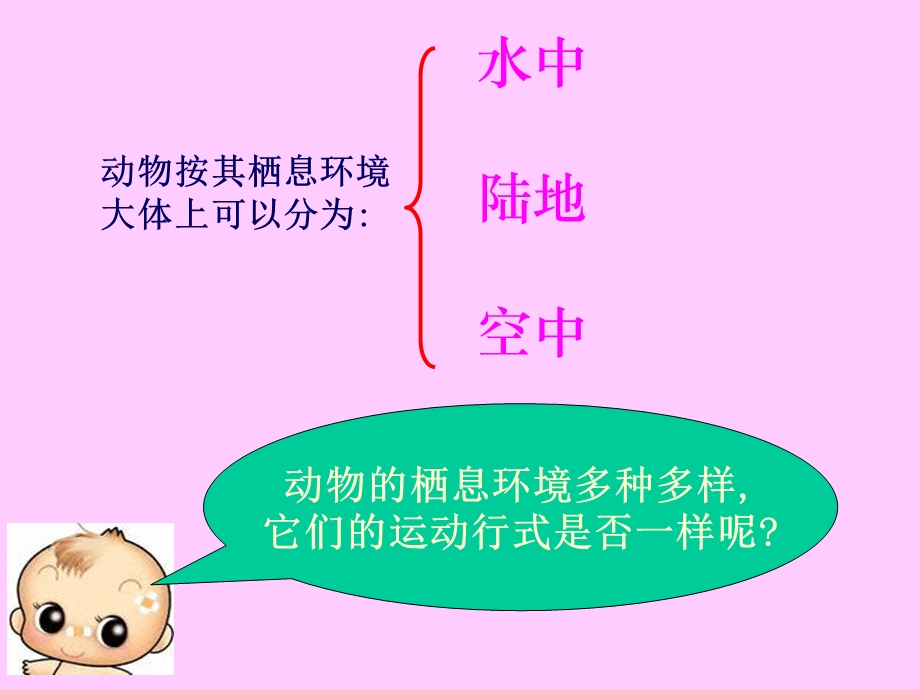 动物运动的形式和能量供应.ppt_第3页