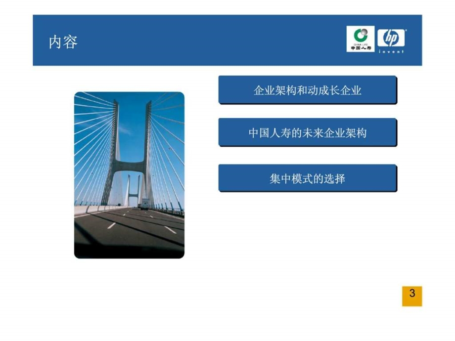 惠普咨询中国人寿IT战略规划项目未来IT架构.ppt_第3页