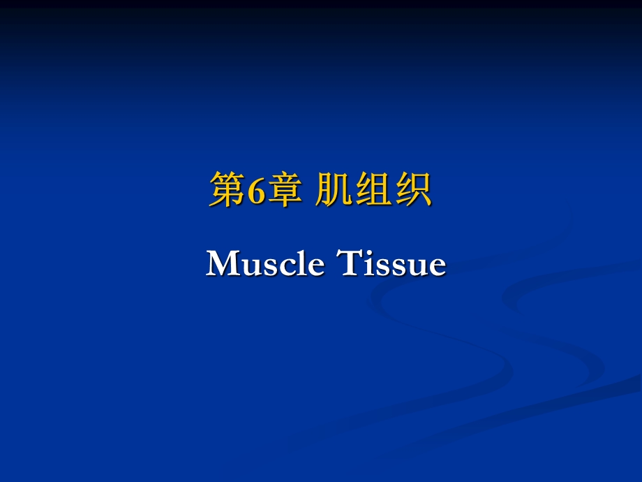 第6章肌组织MuscleTissueppt课件.ppt_第1页