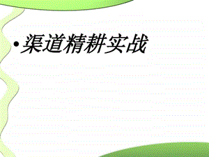 渠道精耕实战.ppt.ppt