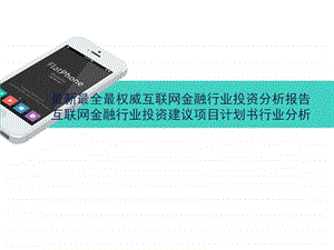 ...互联网金融行业投资建议项目计划书行业分析图文