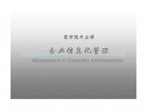 企业信息化管理.ppt