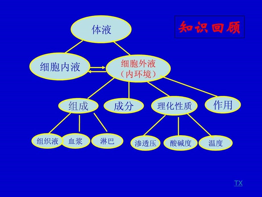 授课专用第2节内环境稳态的重要性授课专用.ppt_第3页