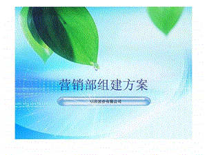 保险公司营销部门组建方案.ppt