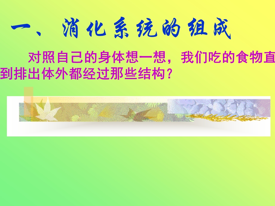 初一下册生物第二章第二节人体的消化与吸收复习资料_课件.ppt_第2页