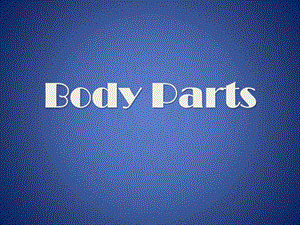 身体部位及俚语Bodyparts图文.ppt.ppt