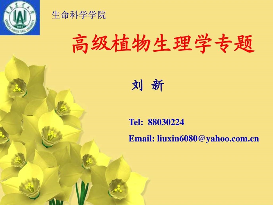 植物体内的信号传导图文.ppt.ppt_第1页